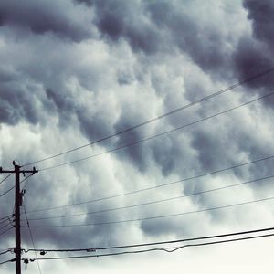 Meet your Posher, Steven